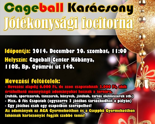 Cageball Karácsony Jótékonysági Torna 2014